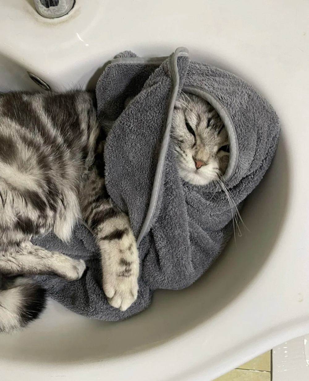 奴才:好好好,此刻就先讓你