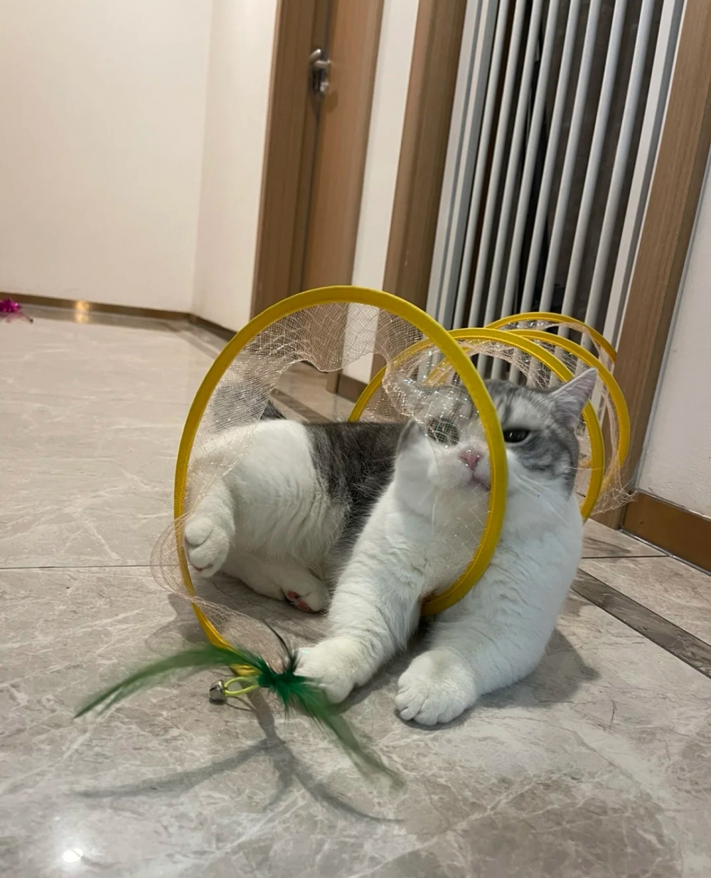 奴才：難得陪你玩當然要打起精神囉