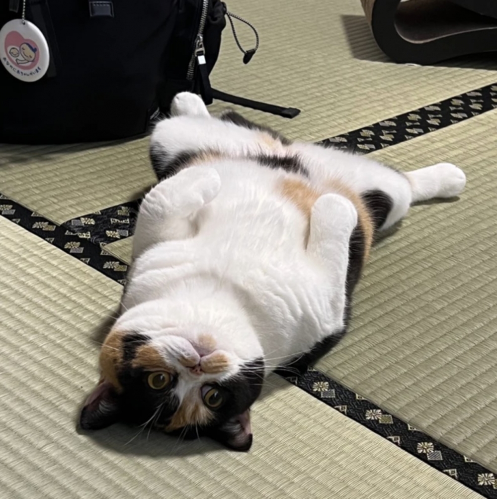 奴才：真的很會把握機會欸～