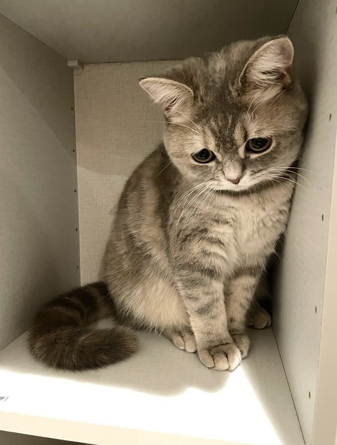 奴才：知道啦，摸摸你行了吧~