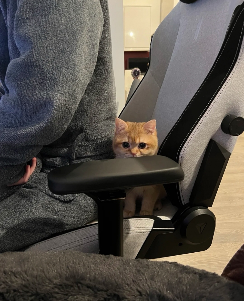 奴才：你別多想啊