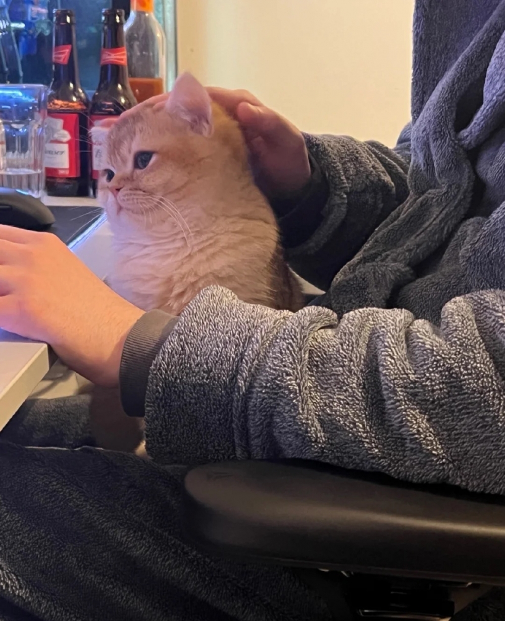 奴才：哎呦～要不要那麼可憐啊～