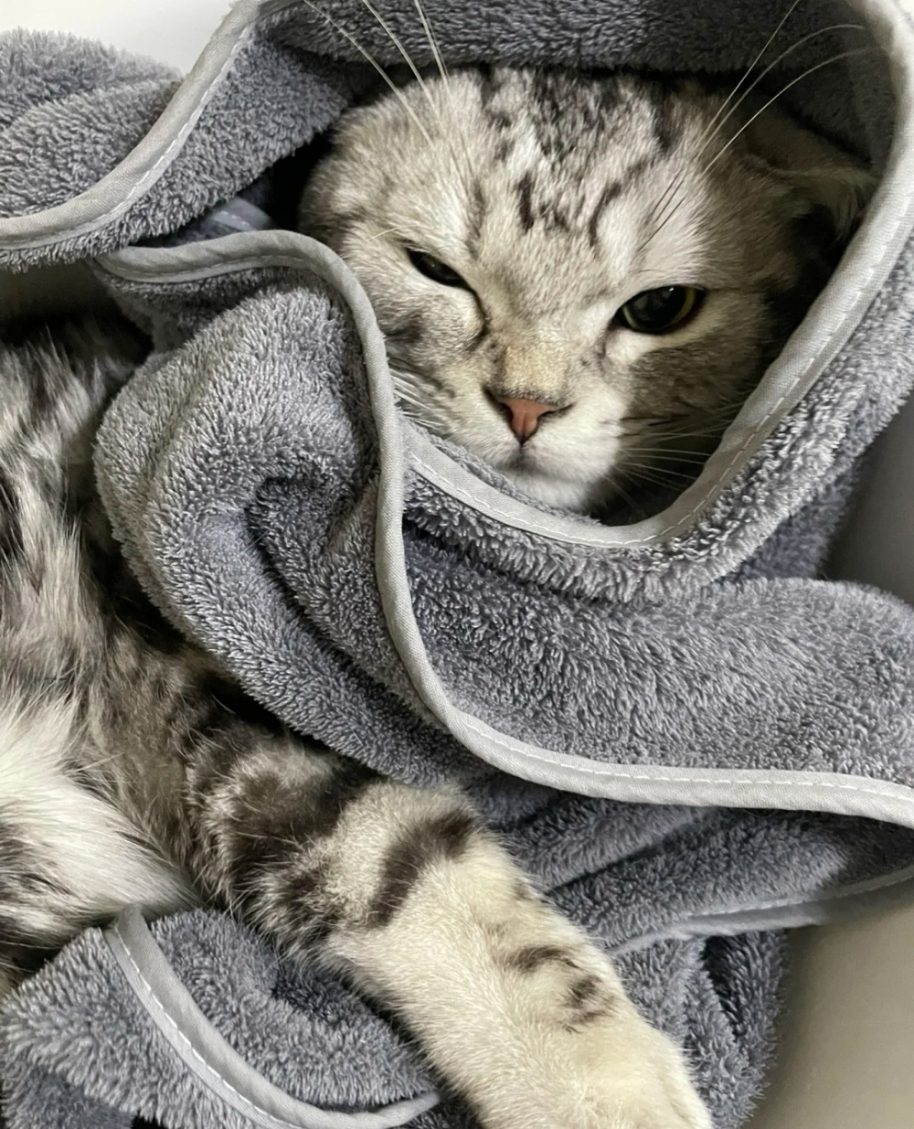 喵:切~有什麼厲害的