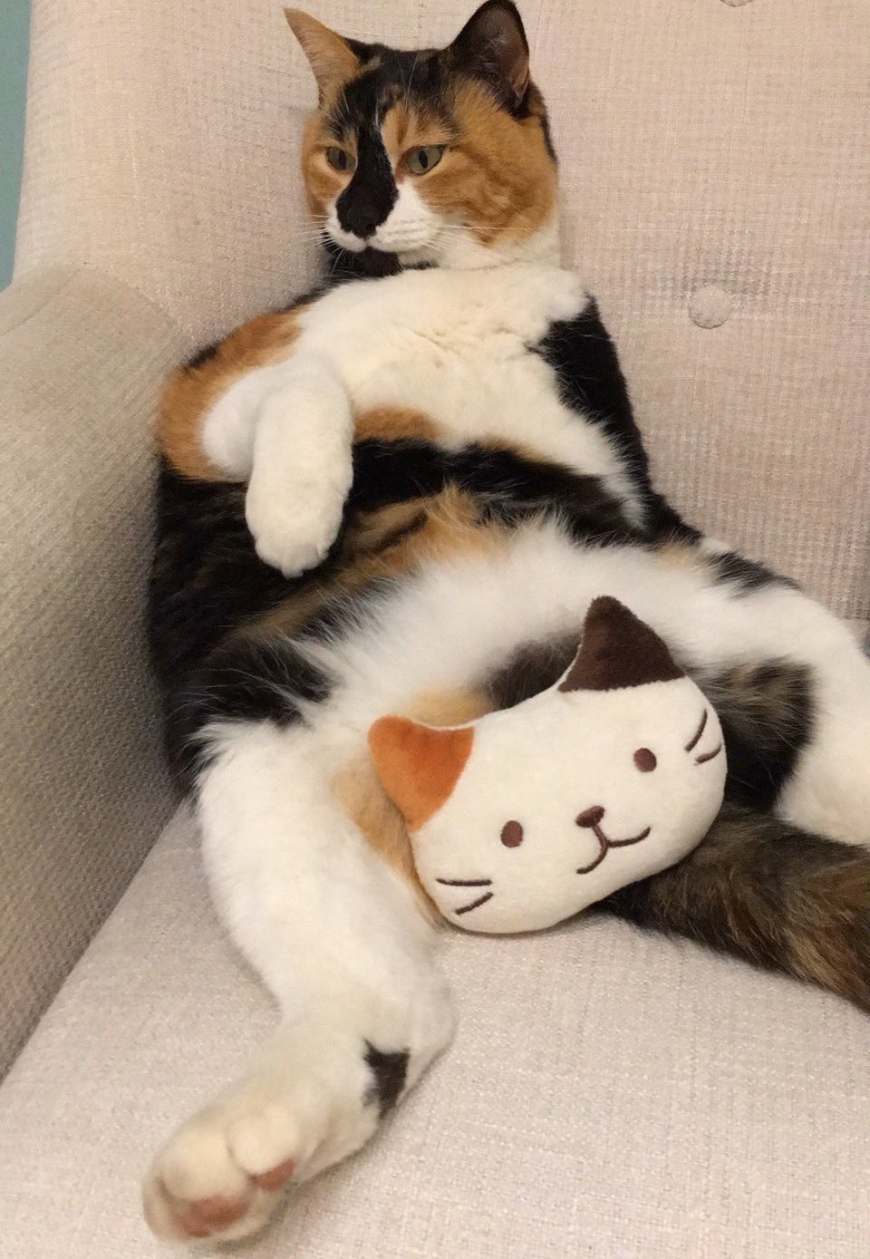 奴才：你們要相親相愛的相處啊