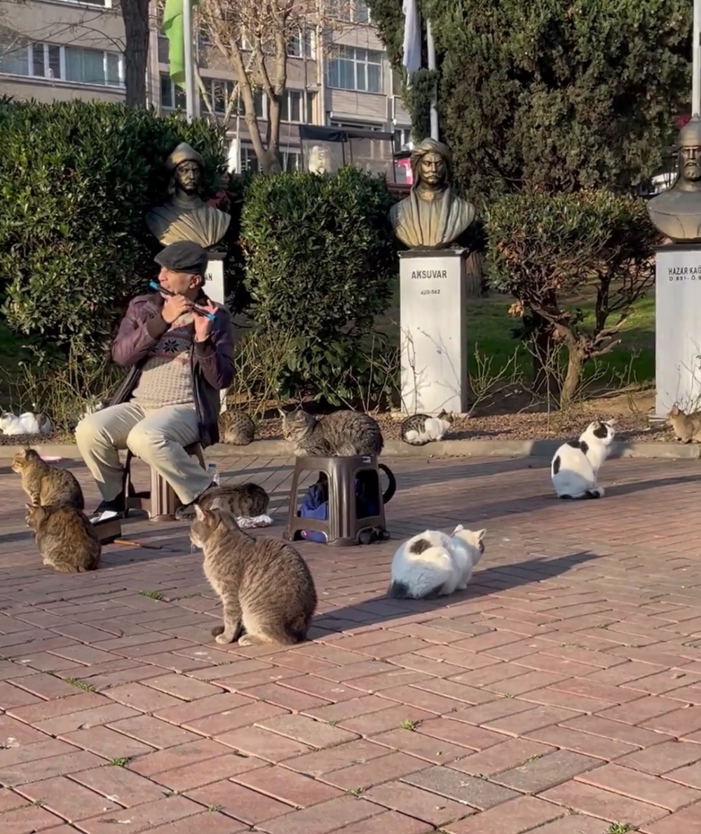 音樂家：感謝你們來捧場喔