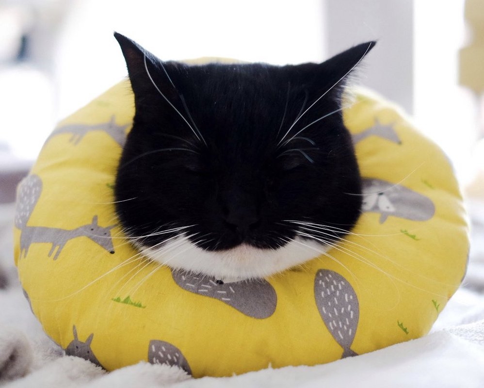 奴才：無論如何都覺得你此刻很開心啊