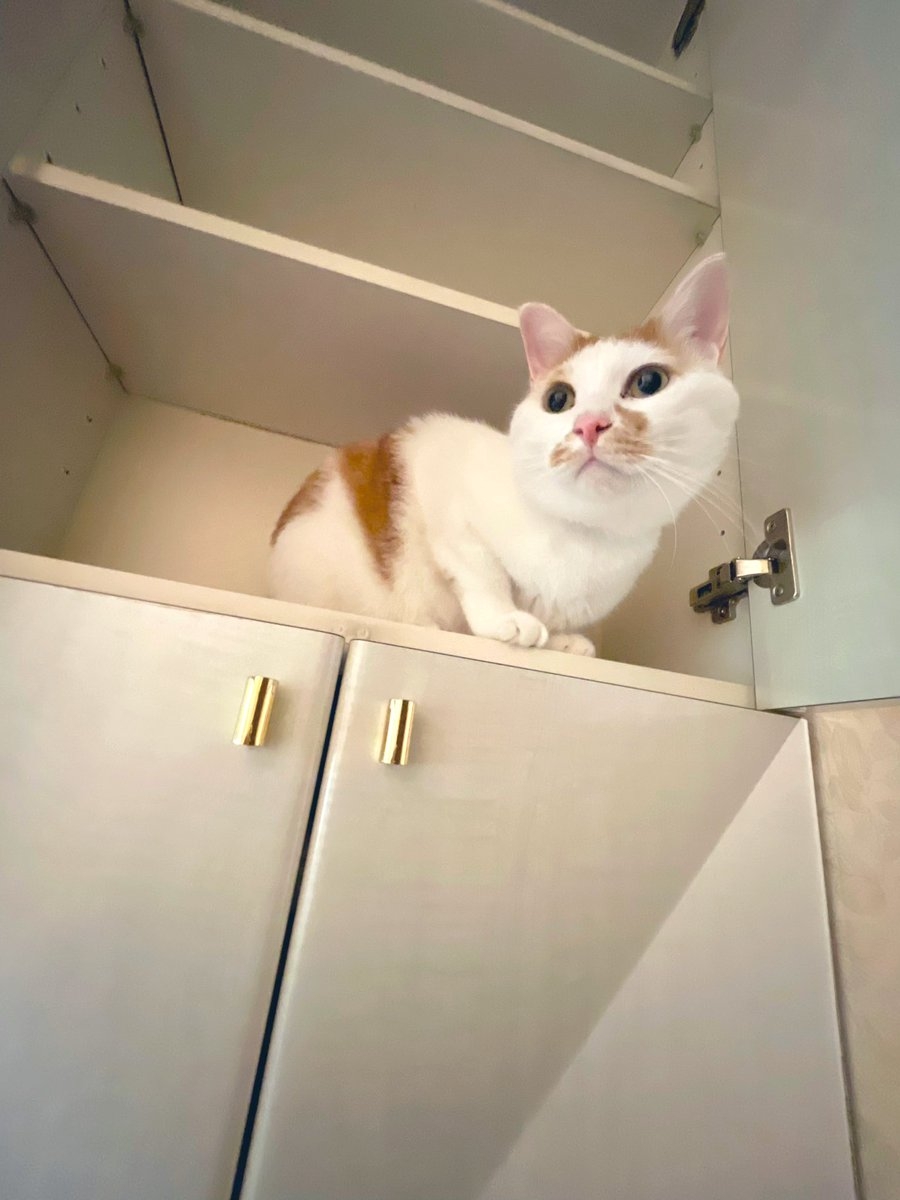 奴才:這件事情當然不能通知你啦