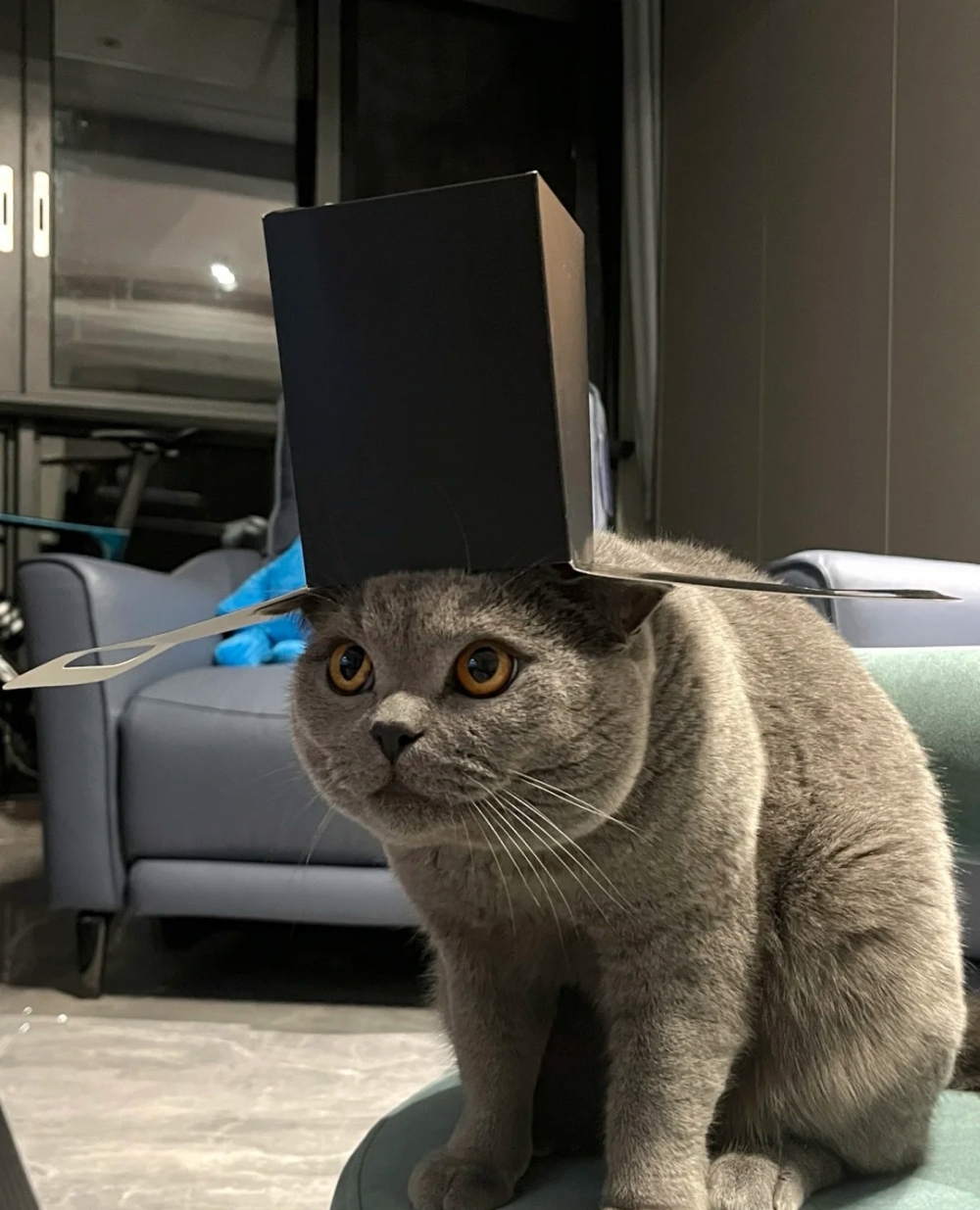 奴才：這樣會被人家欺負囉