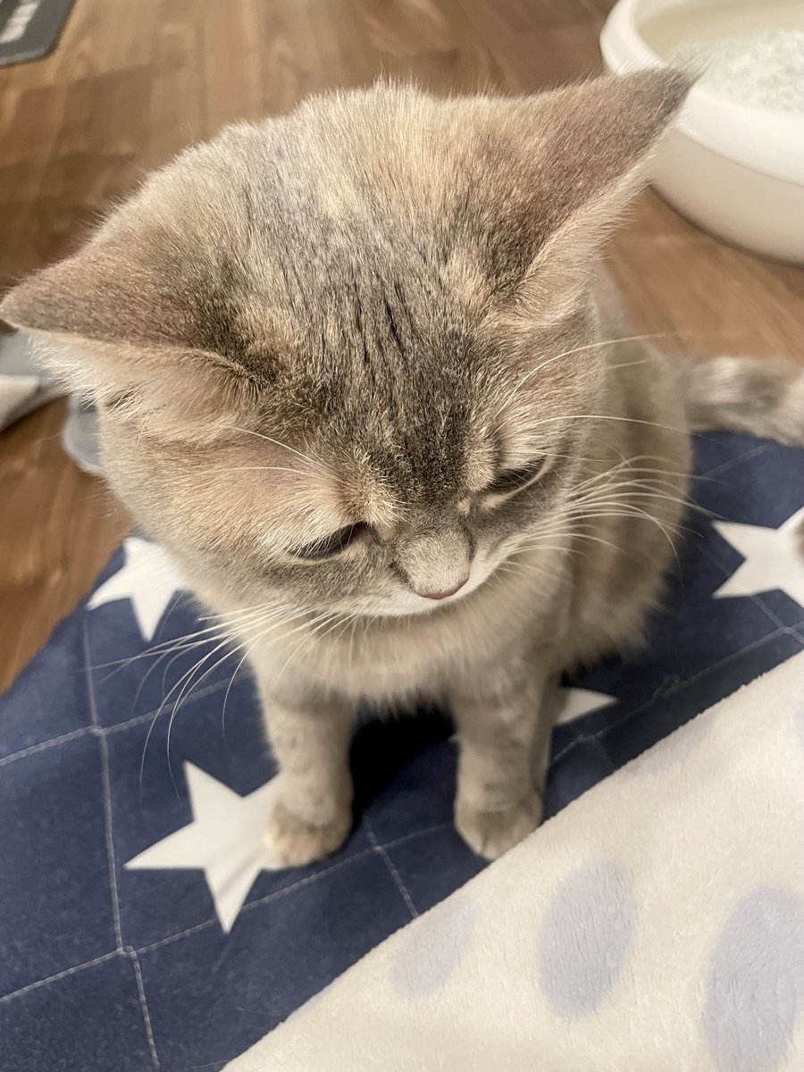 奴才：不然你還想怎麼樣喔