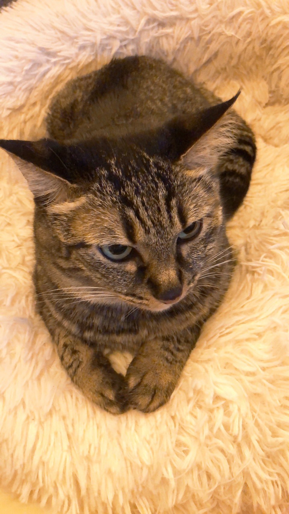 奴才：不要顧慮那麼多啦～