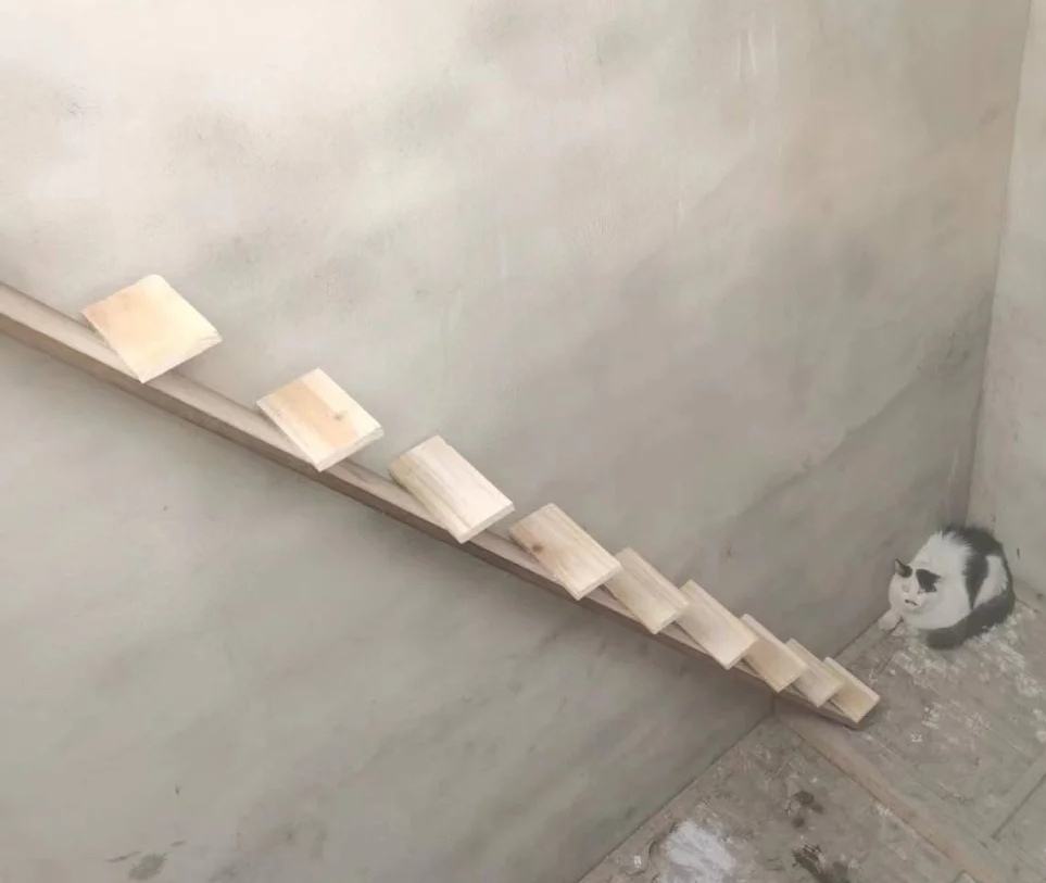 喵：這邊好好玩喔~可以再多待幾天嗎？