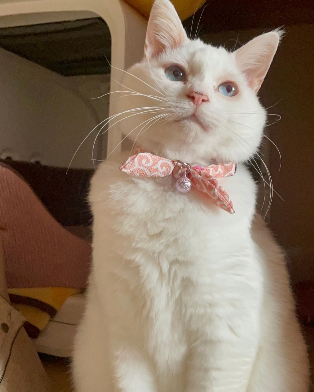 奴才：好啦！知道啦~別那麼認真