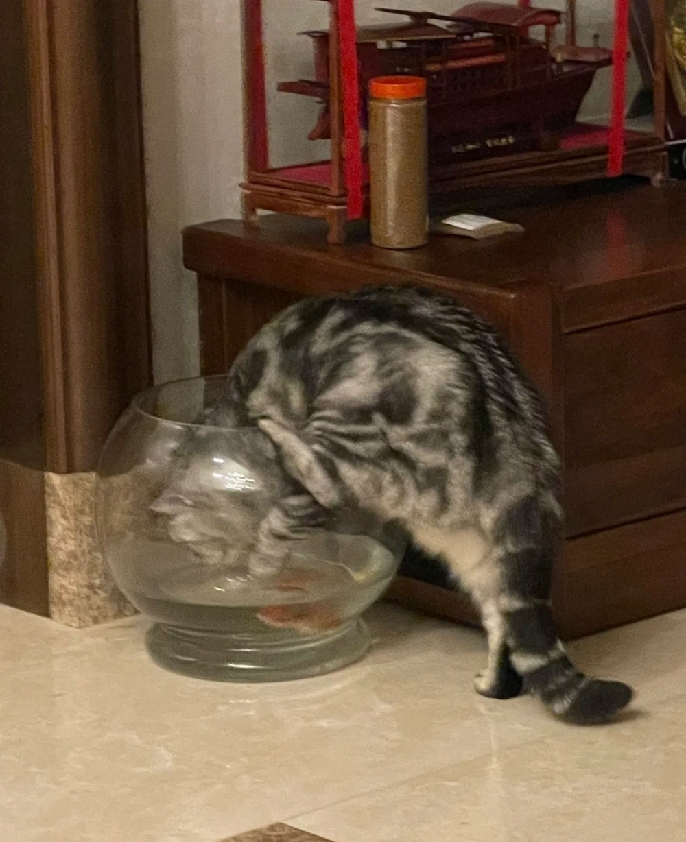 奴才:保持懷疑!是真的嗎?