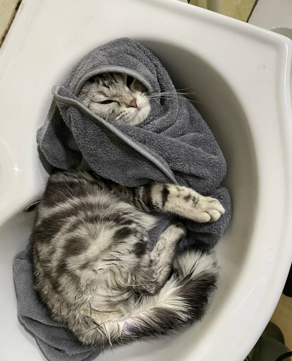 奴才:可惡,被你發現了!