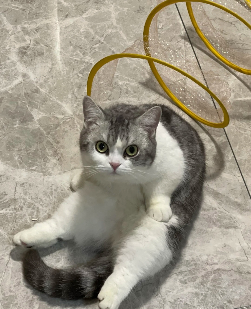 奴才：不要繼續了嗎？