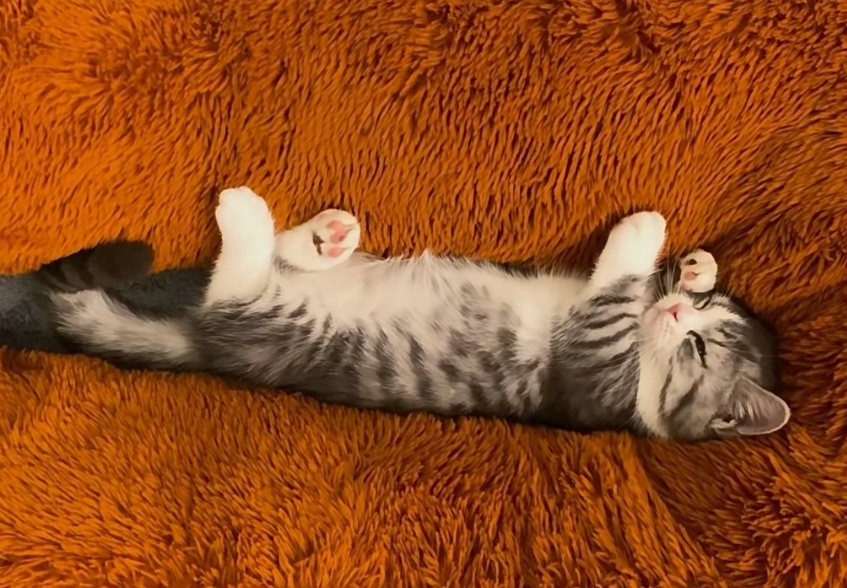 奴才：還是你會享受~