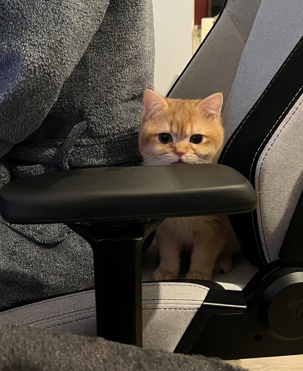 奴才：我就是放鬆一下心情啦！