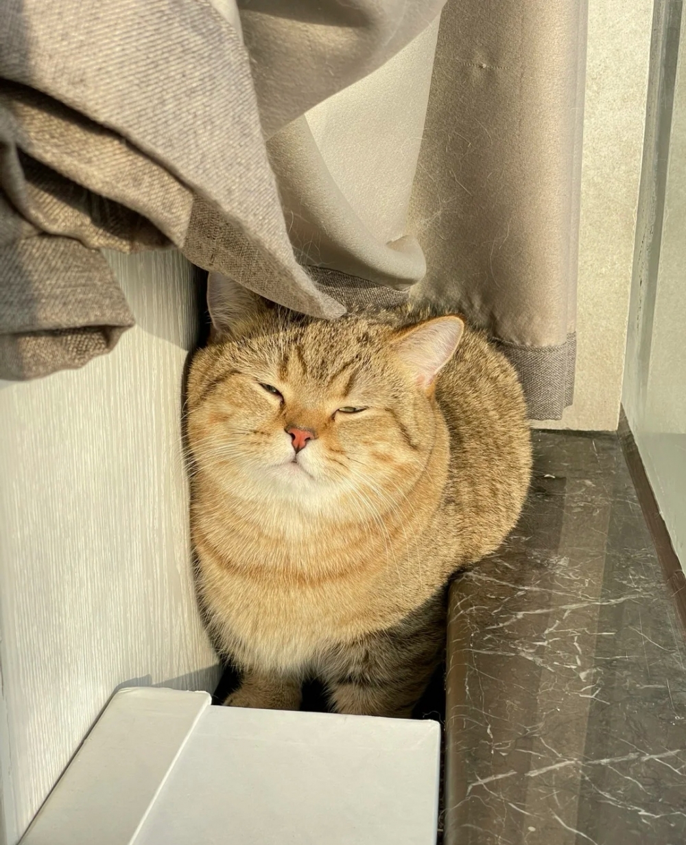 奴才：是時候鍛煉一下你的膽量了