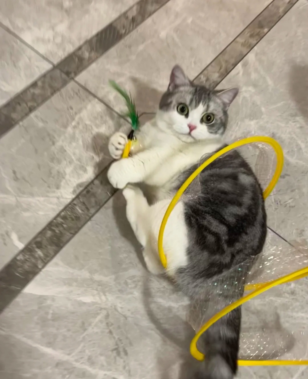 奴才：看得我都想一起了