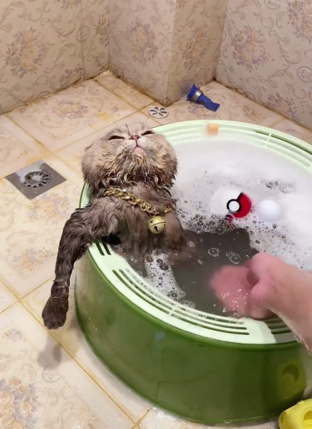 喵：不錯，但還可以更好喔～