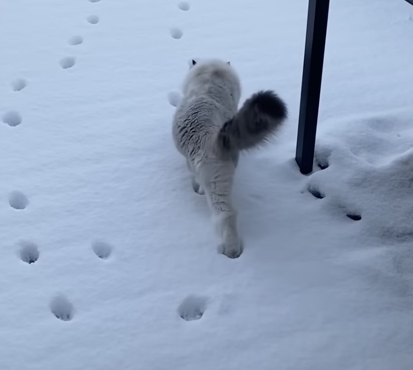 奴才：待會就會習慣啦