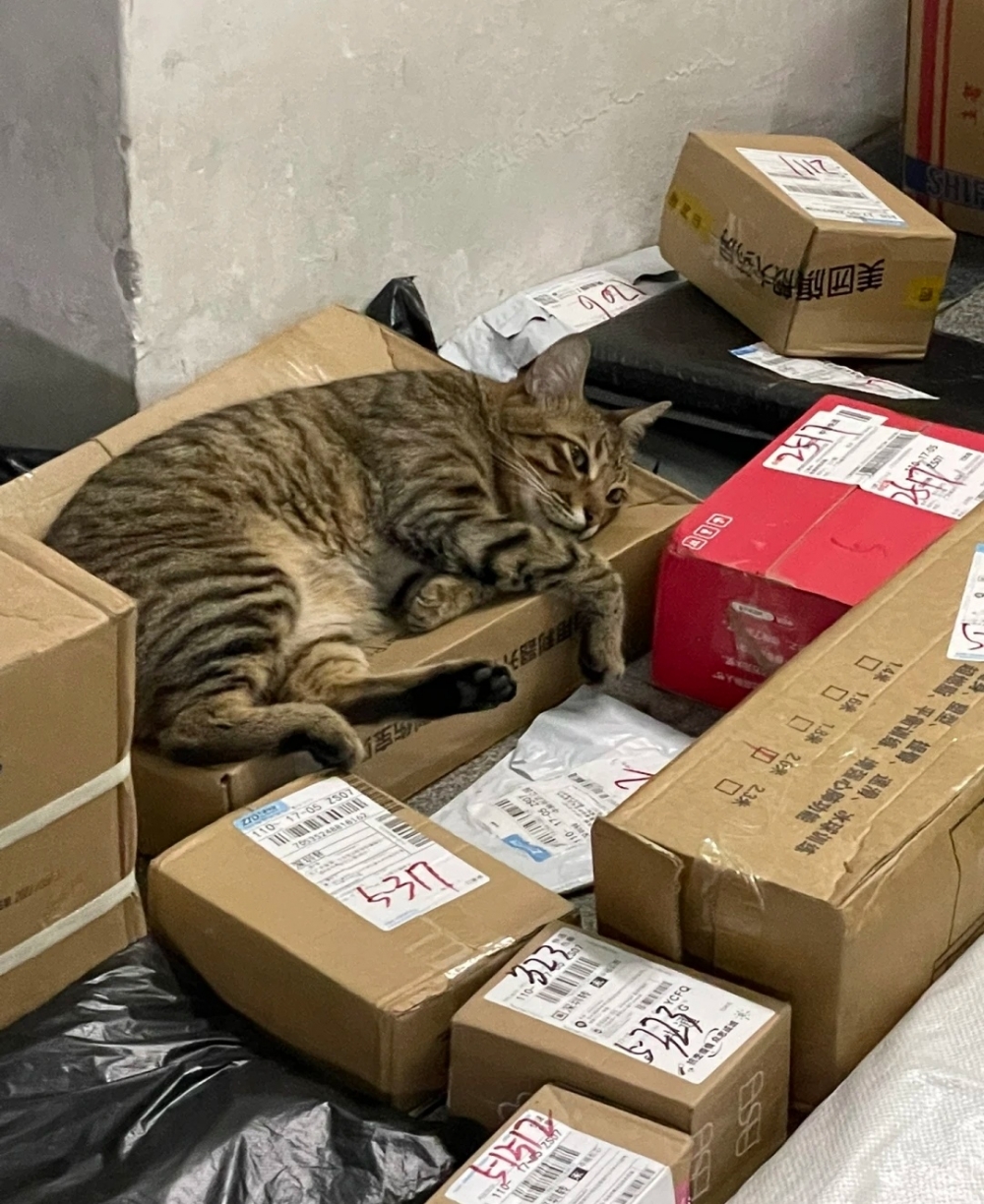 員工:可是這個人家要拿走了