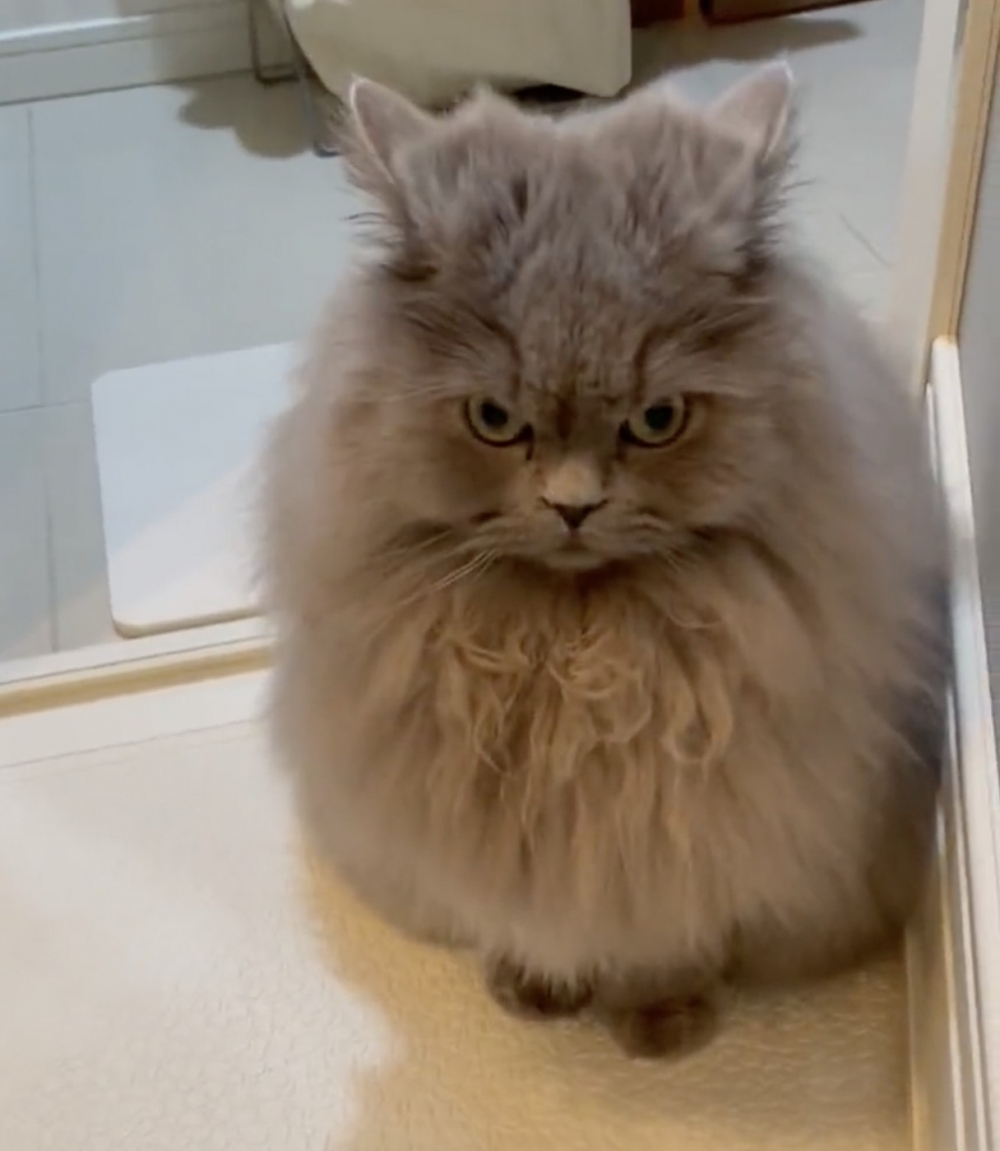 奴才：好啦～我嚴肅一點