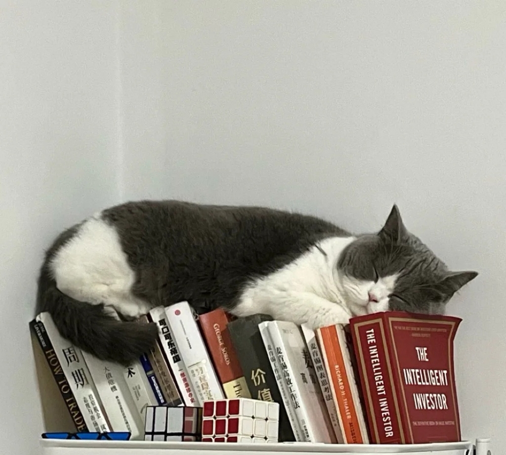 奴才:你好歹尊重一下書本捏!