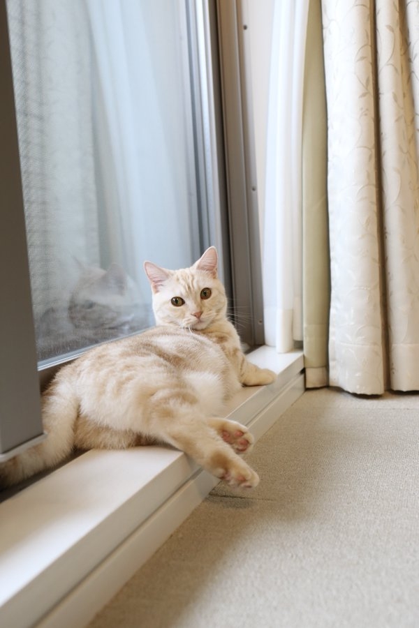 奴才：我以你為榮啦