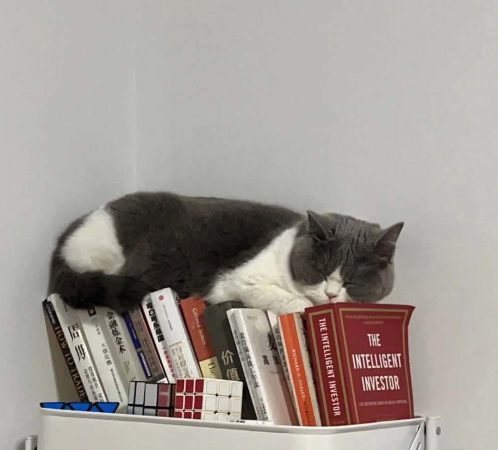 奴才:真是什麼地方都能睡啊~