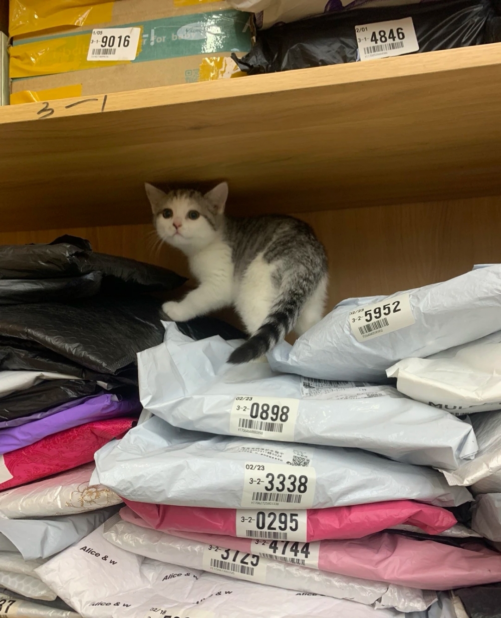 奴才：你別玩得太過分喔