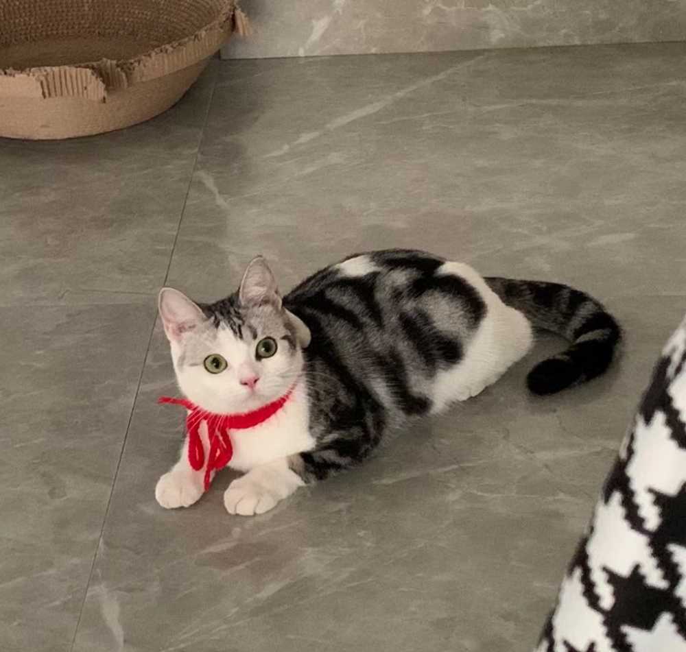 奴才：求原諒，下次不敢了