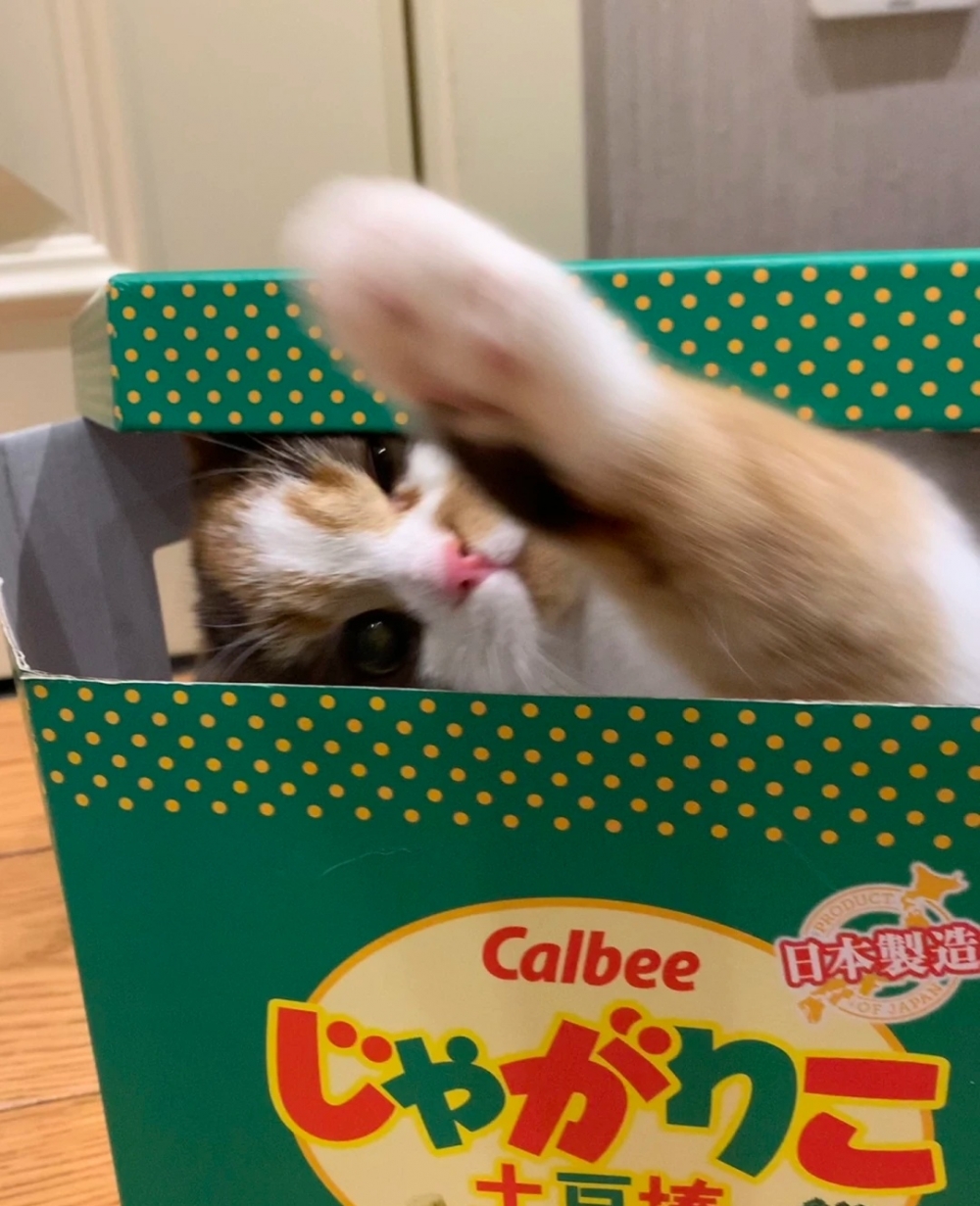 奴才：那再來一次好了～