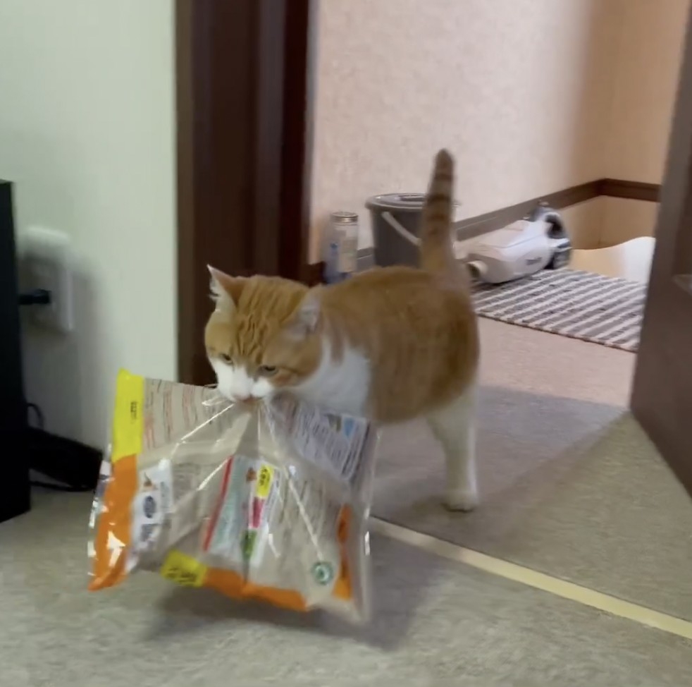 奴才：哇噻，你怎麼搬得動啊？