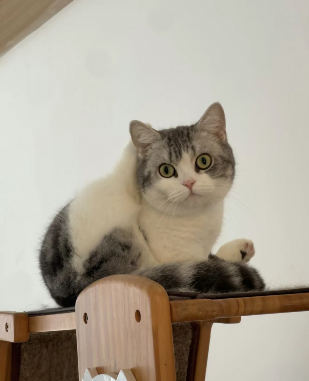 奴才：好啦！知道你很厲害啦！