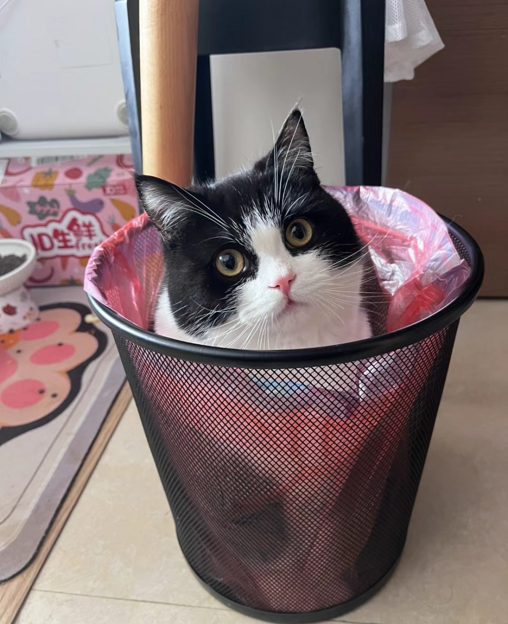 奴才：這是什麼奇葩腦迴路啊