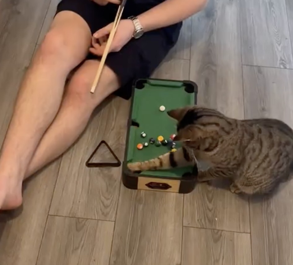 奴才：哇噻，你這是作弊啊～