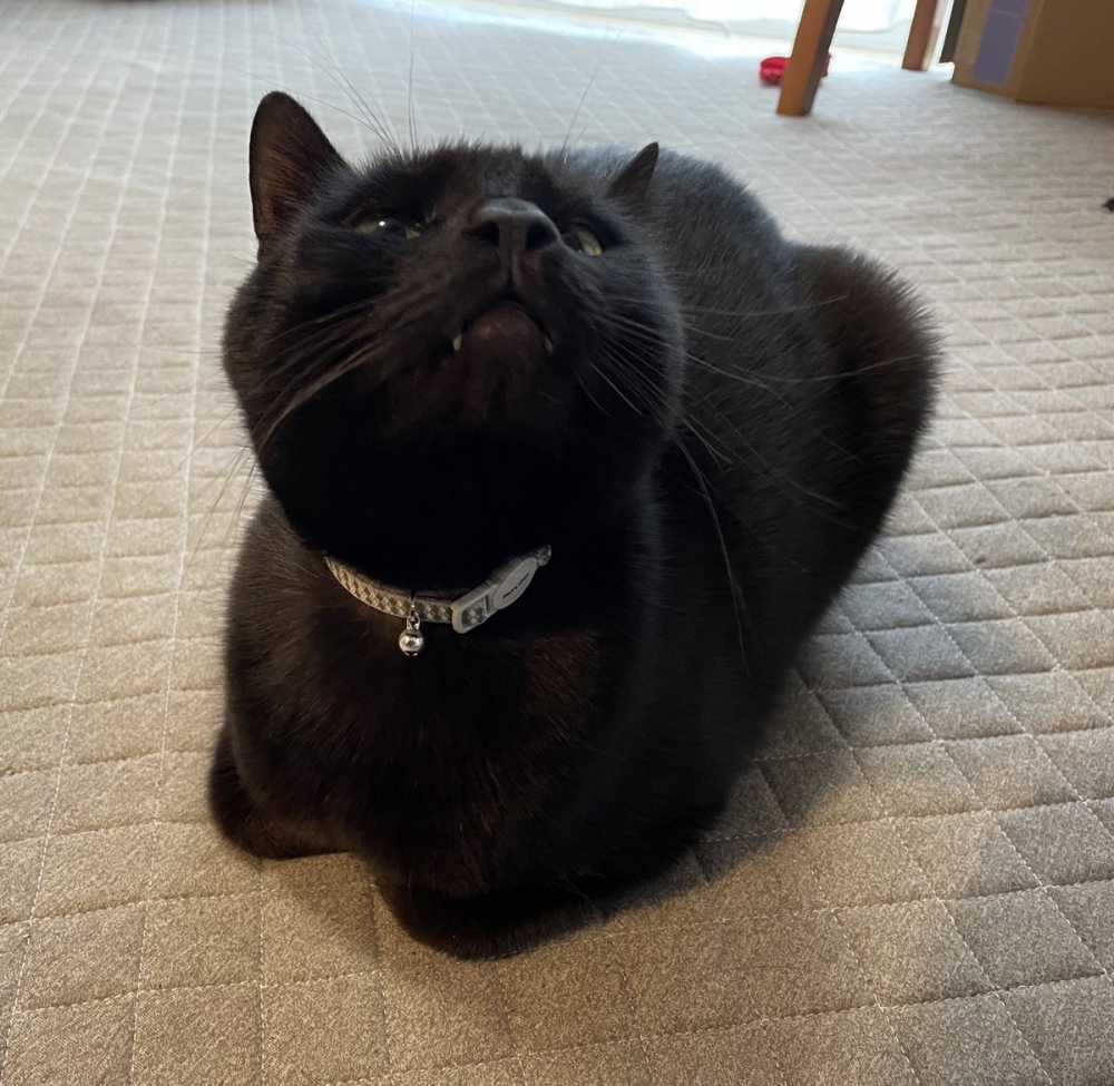 奴才：開玩笑而已，別那麼認真啦