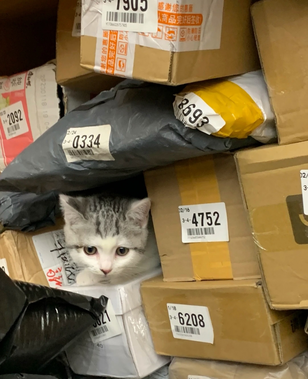 奴才：小心走丟我找不到你啊