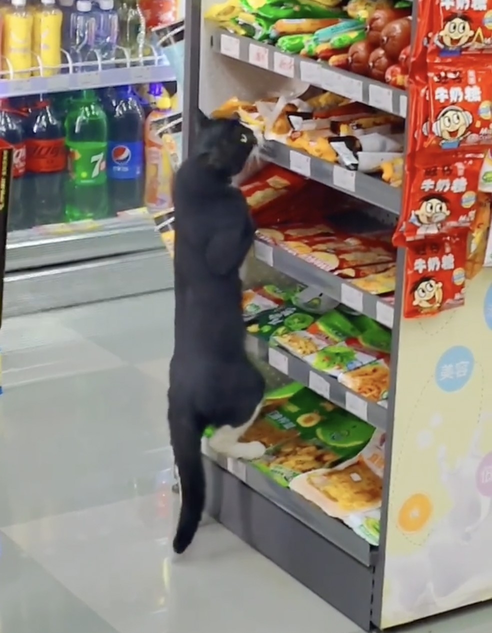 店員：我都還沒反應過來呢～