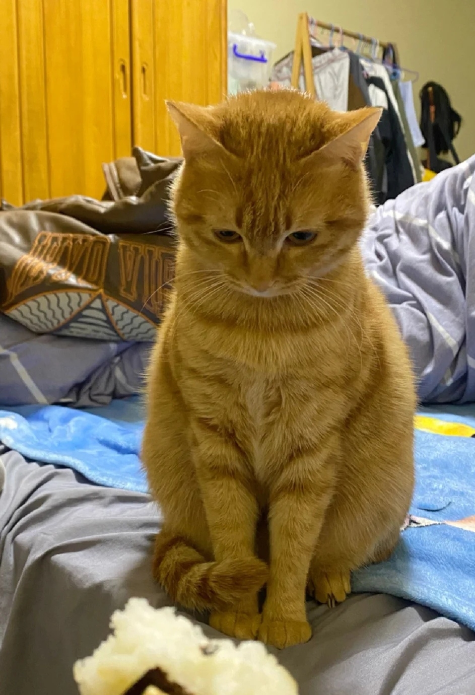 奴才：我也饞壽司不行嗎～