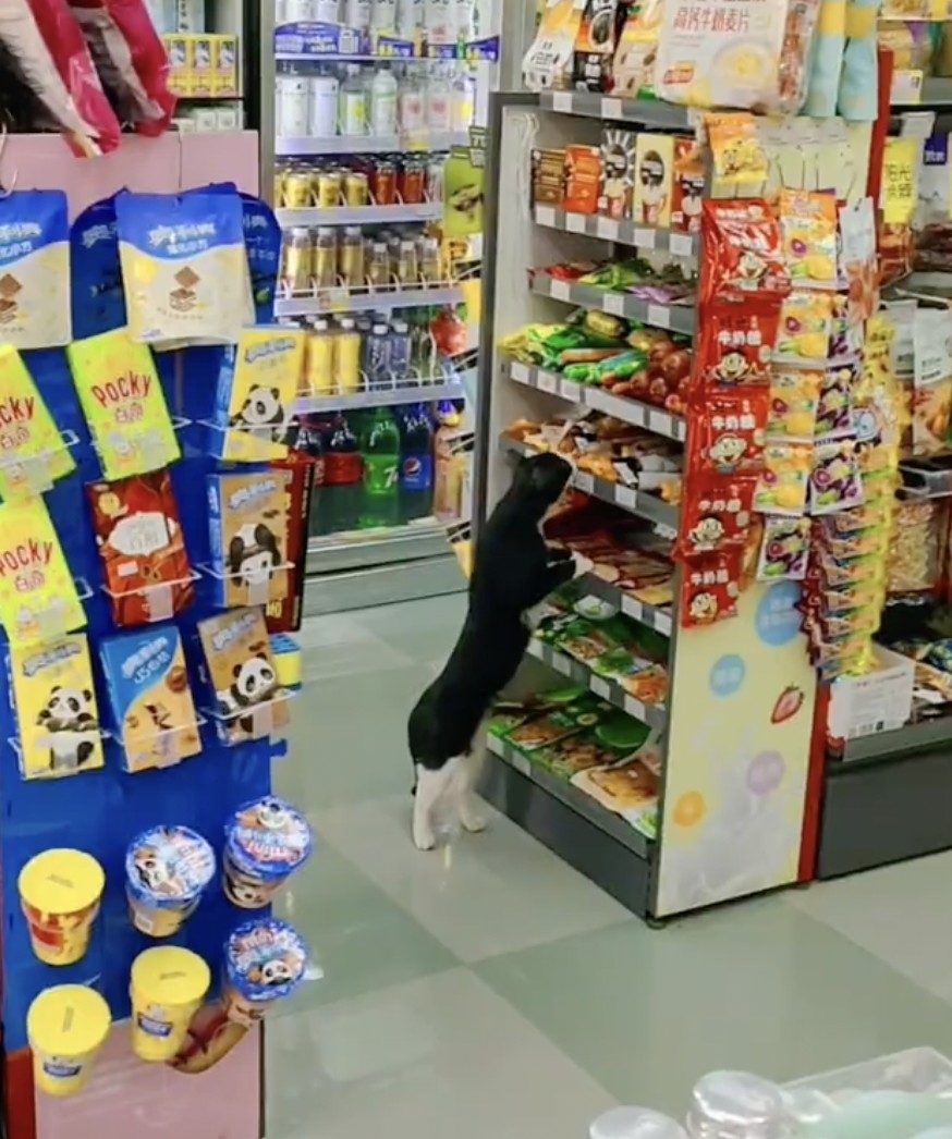 店員：你想偷吃啊？