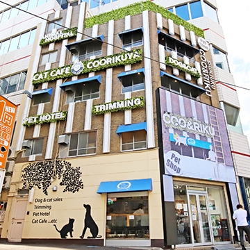 貓咖 空陸家 新宿三丁目店