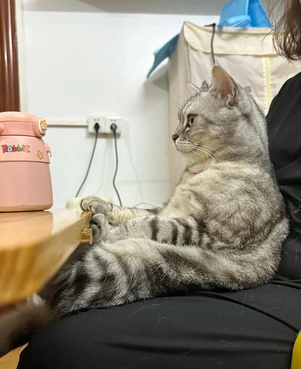 奴才：你怎麼看的比我還開心啊～