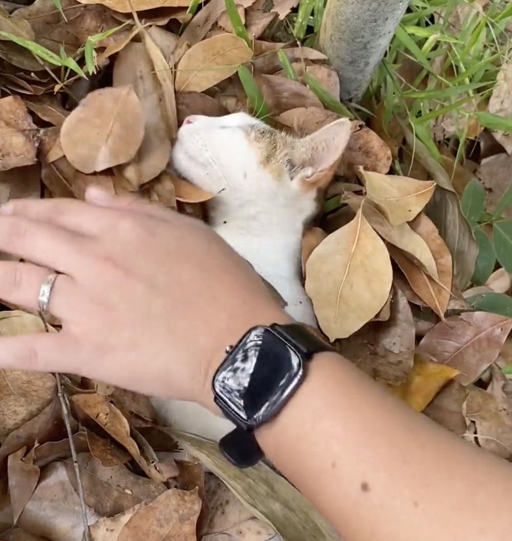 學生：沒事吧～快起來了