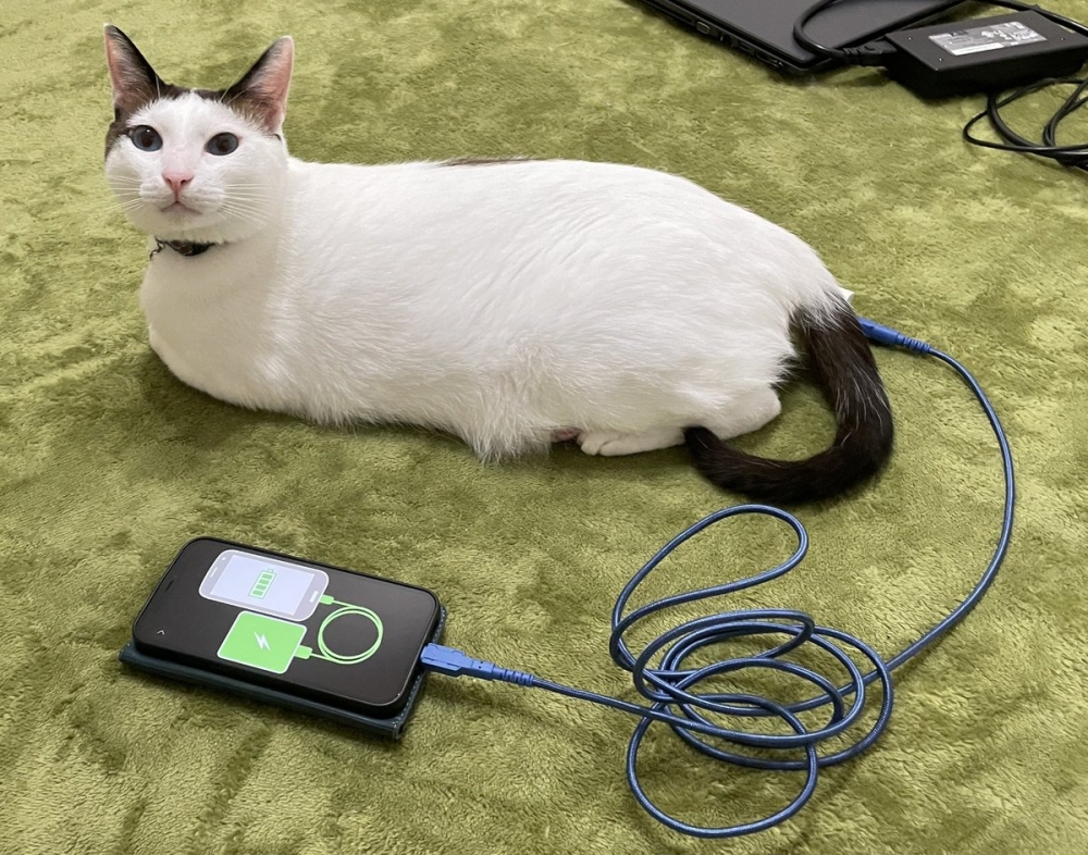 奴才：但是這沒辦法量產啦