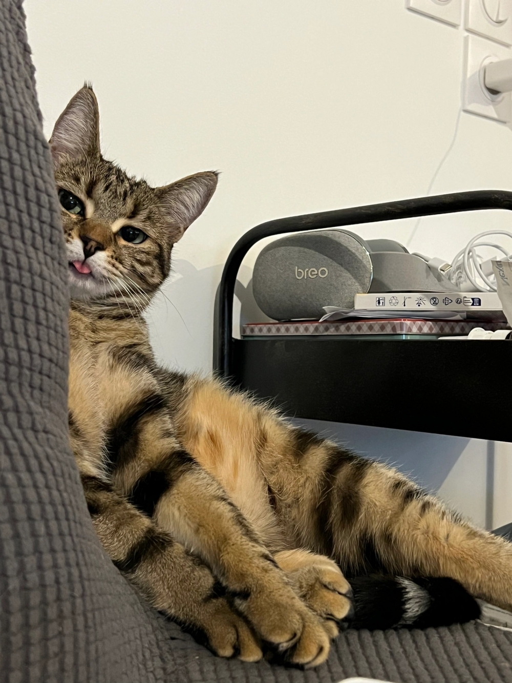 奴才：哼！我才不會那麼容易被誘惑～