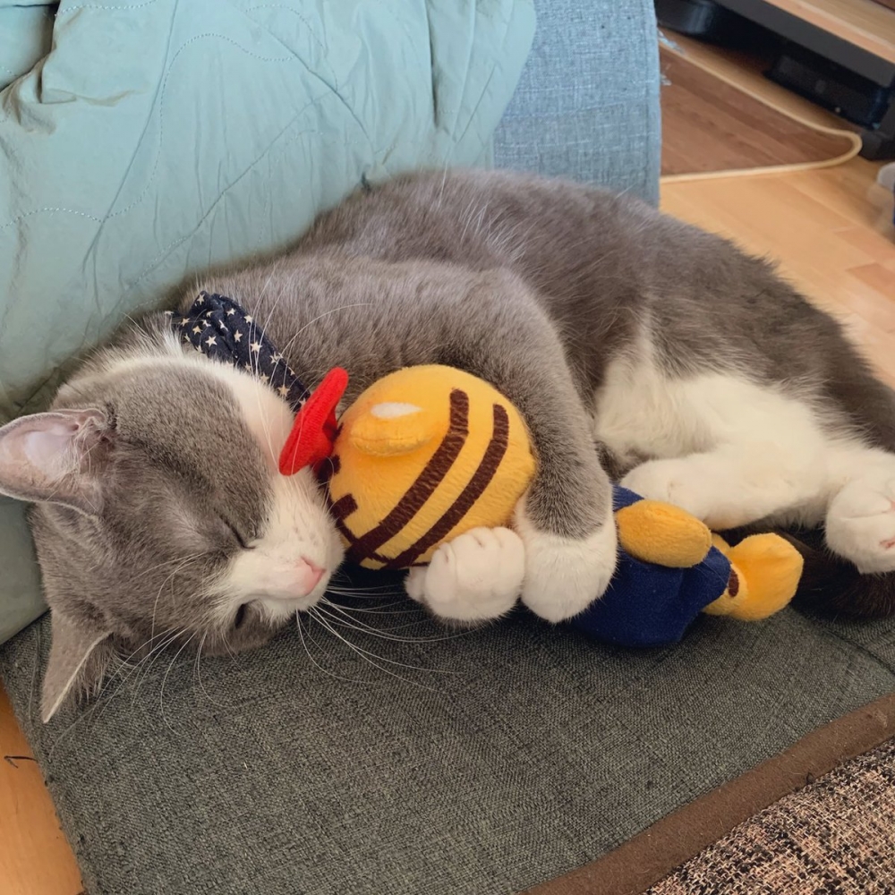 奴才：這個畫面真的好幸福的感覺