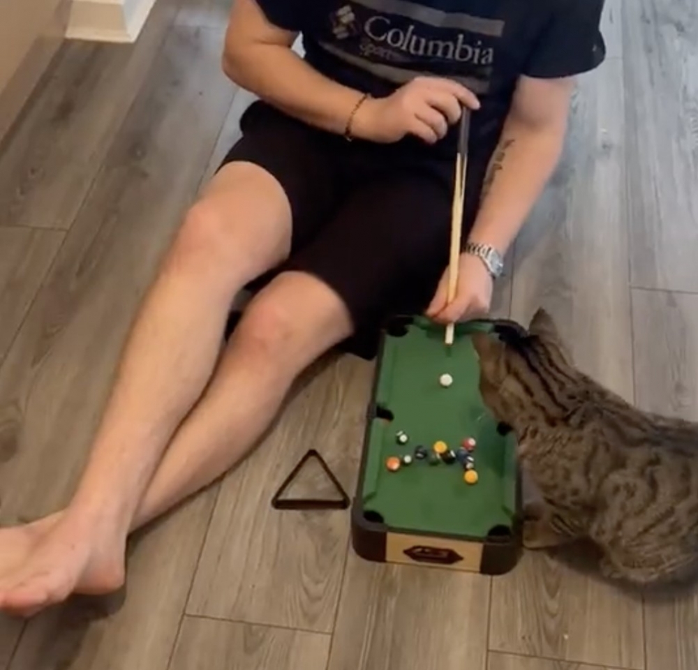 奴才：好吧！你最大你說了算