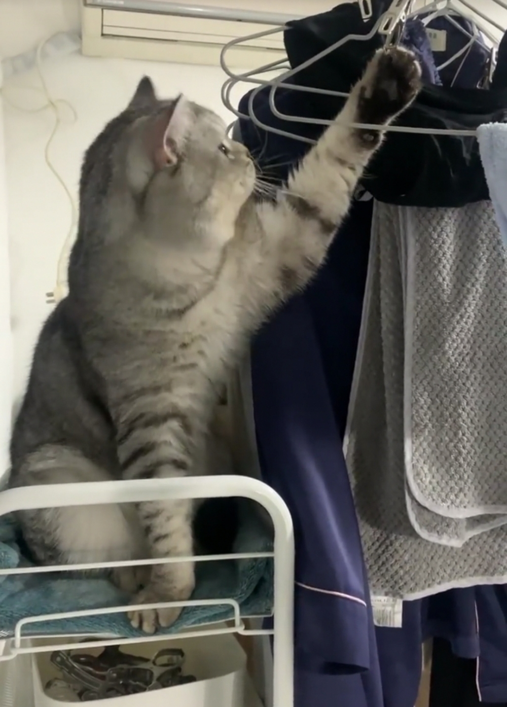 奴才：你的手抬起來一點啦